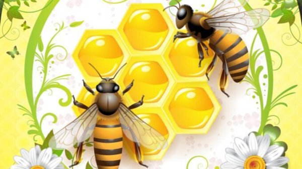 Пчелы и мед