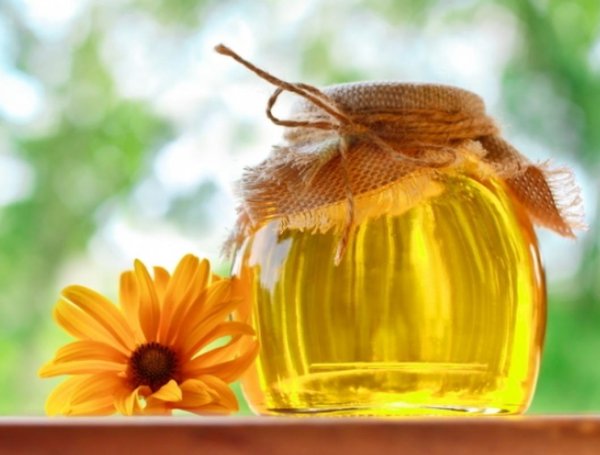 Пчелы и мед