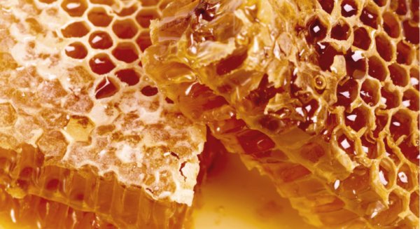 Пчелы и мед