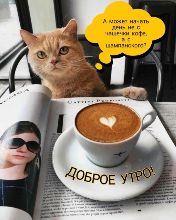 Кофе с надписями