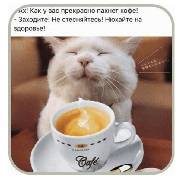 Кофе с надписями