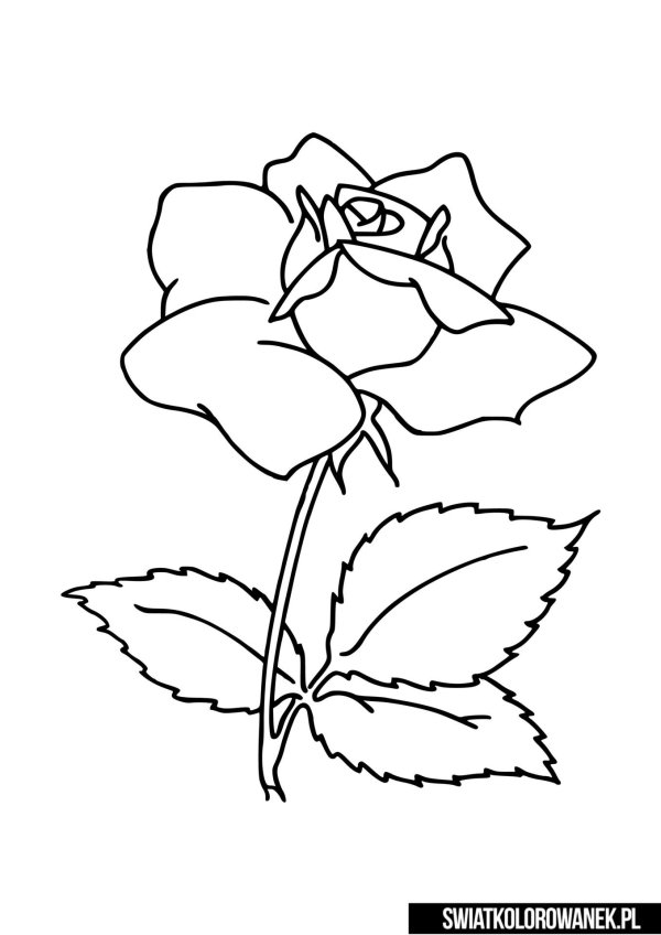 8 марта легкие