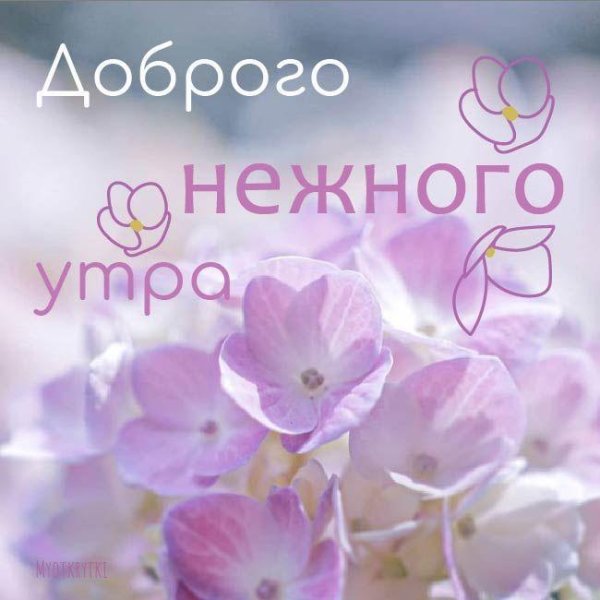 доброго нежного утра