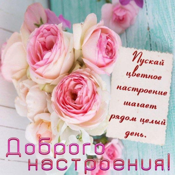 пионовидная роза