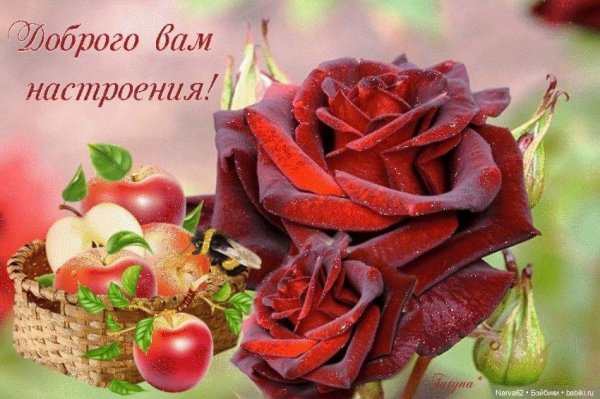 прекрасного настроения