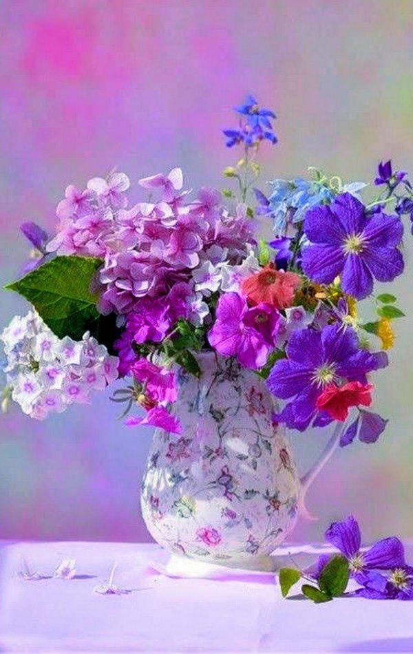 фотонатюрморты  дарьи никончук