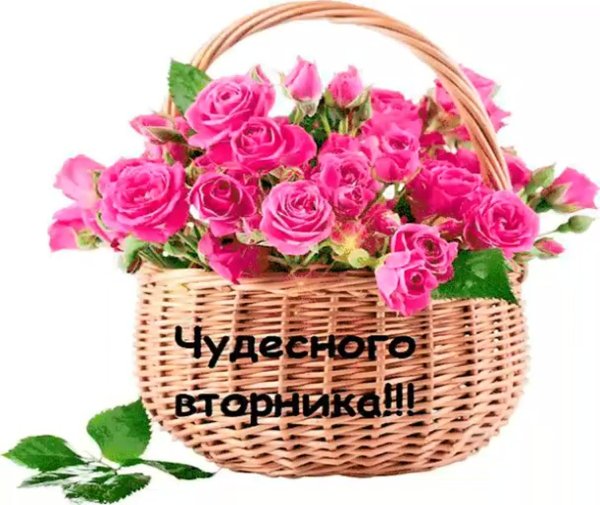 корзинка цветов