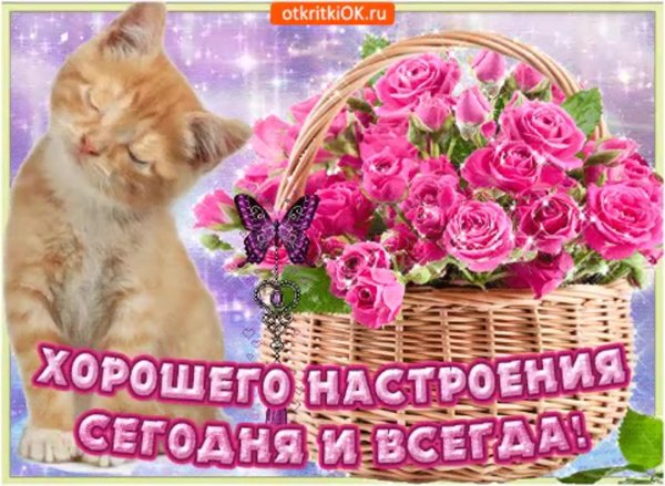 для настроения открытки