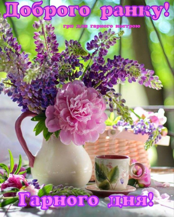 доброго ранку