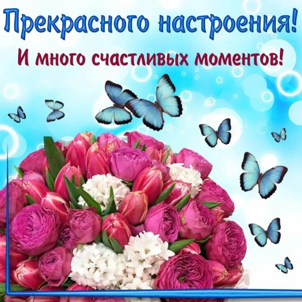 открытки отличного настроения