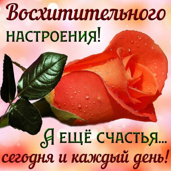 отличного настроения хорошего дня