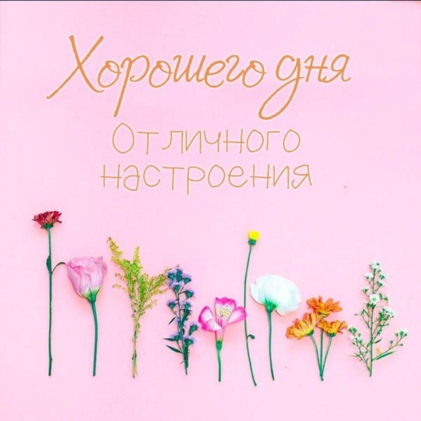 стильные открытки отличного дня