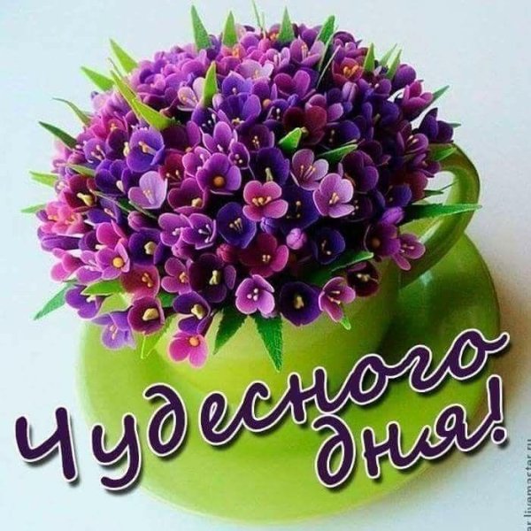 доброе утро букет