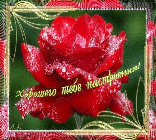 замечательному человеку