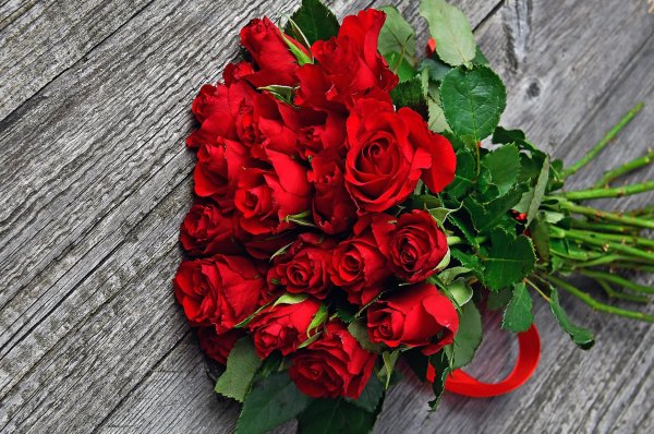 алые розы букет