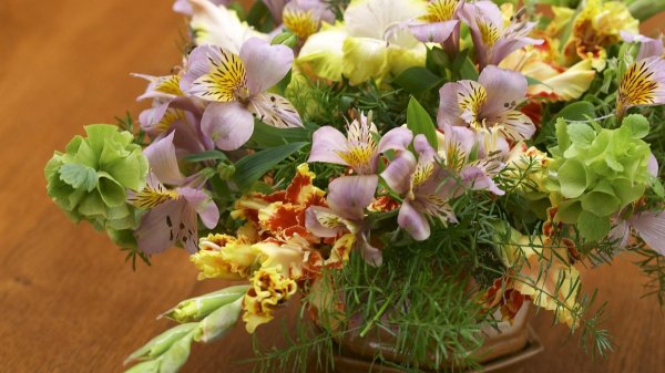 альстрёмерия gl03289