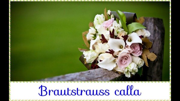 каллы свадебные букеты
