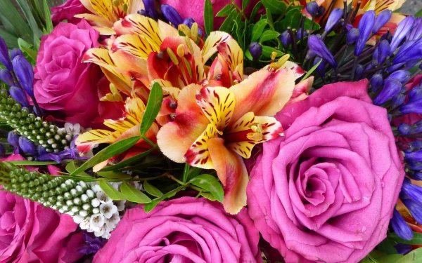 разноцветные букеты
