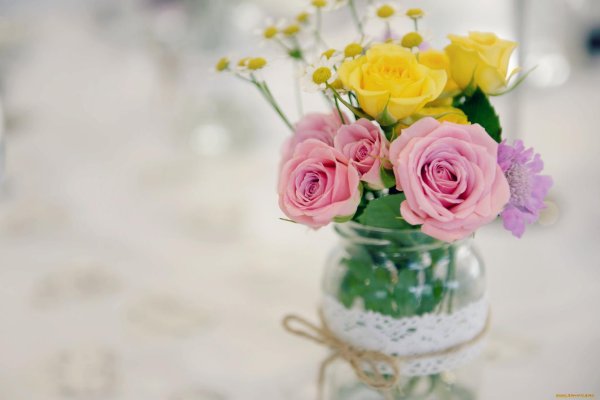 цветок в вазе