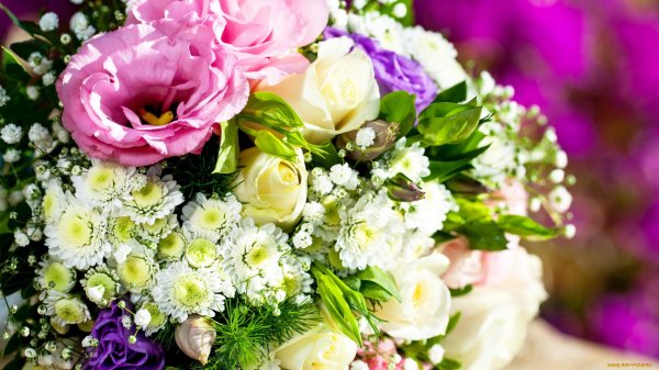 роскошные букеты цветов