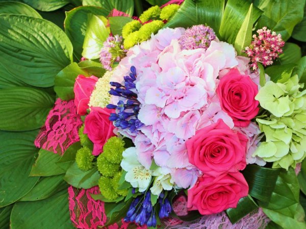 гортензии букет