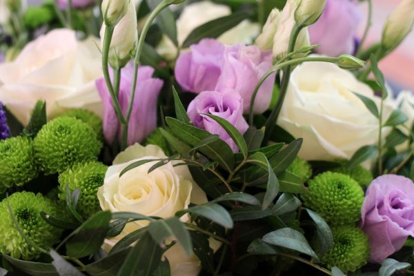 лизиантус цветок