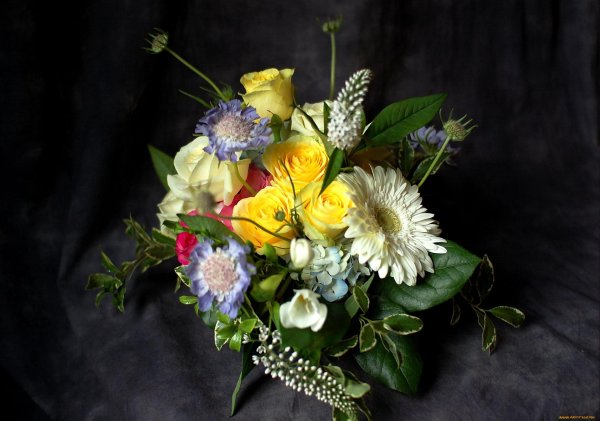 цветы букеты композиции
