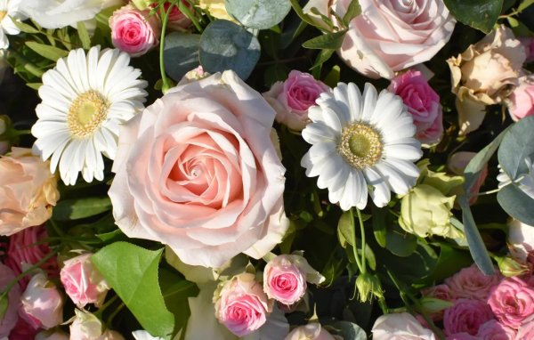 роза фантазия мондиаль