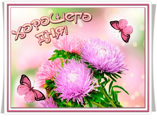 С надписями пожалуйста