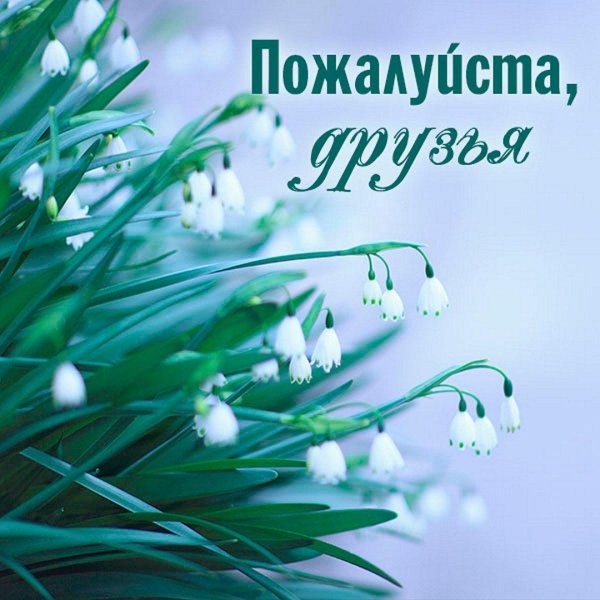 С надписями пожалуйста