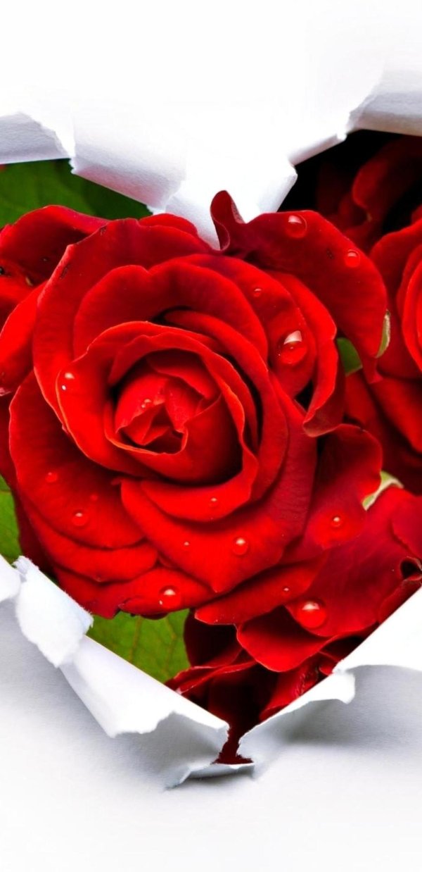 С надписями пожалуйста