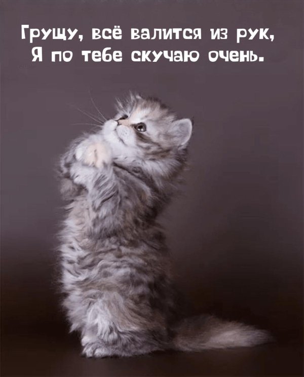 С надписями пожалуйста