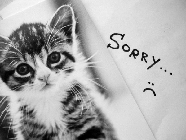 С надписями пожалуйста