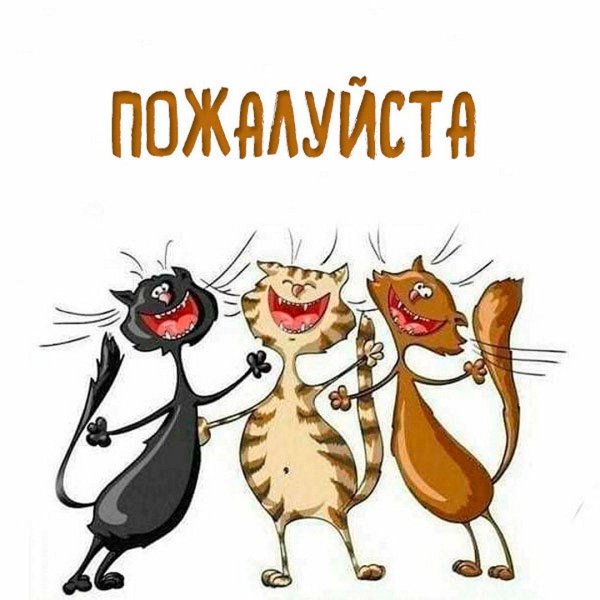 С надписями пожалуйста