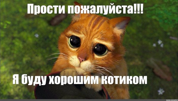 С надписями пожалуйста