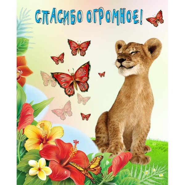 С надписями пожалуйста