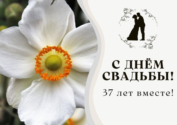 11 лет вместе