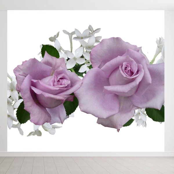 Розы на белом фоне