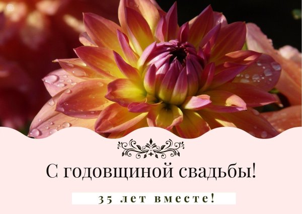 Коралловая свадьба с пожеланиями