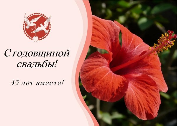 Коралловая свадьба с пожеланиями