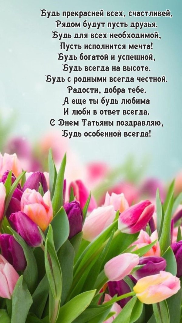 тюльпан цветок