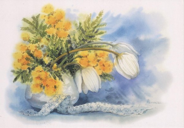 мимоза акварель