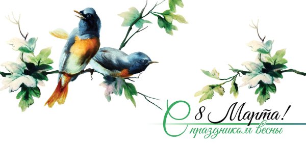 акварельные птицы