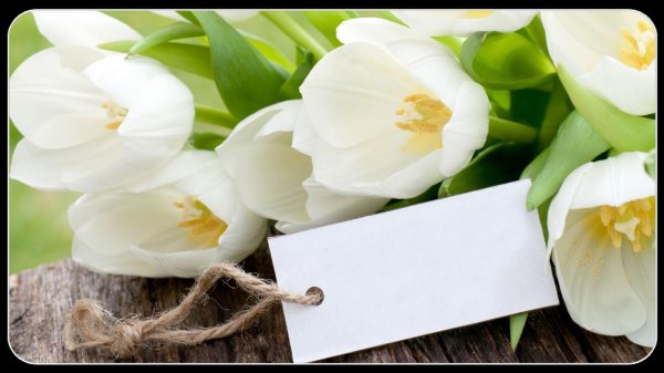 букет тюльпанов белых