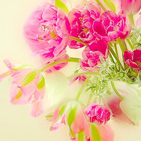 праздничная открытка