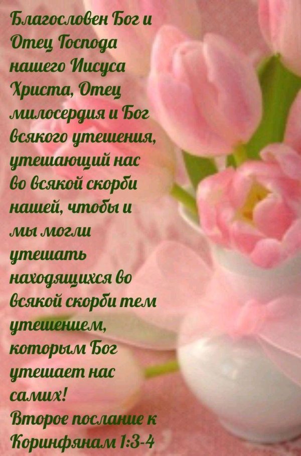 библейские стихи