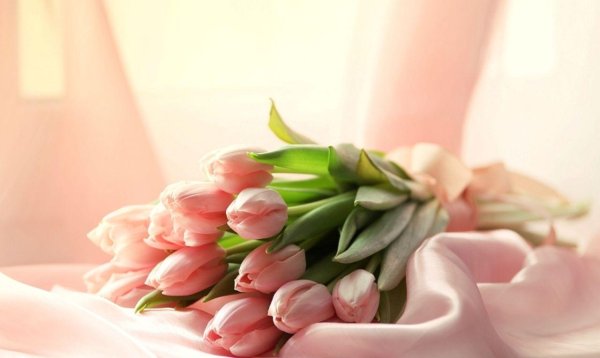 нежный букет тюльпанов