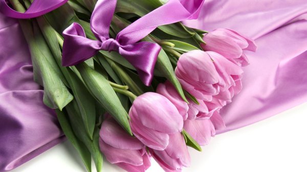 букет тюльпан