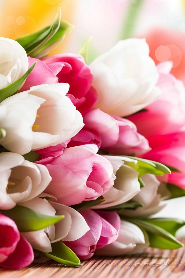 поздравлением с 8 марта