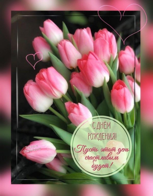 короткие тюльпаны